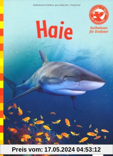 Der Bücherbär: Sachwissen für Erstleser: Haie